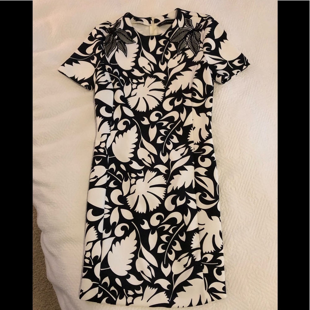 Zara neoprene navy + white print dress